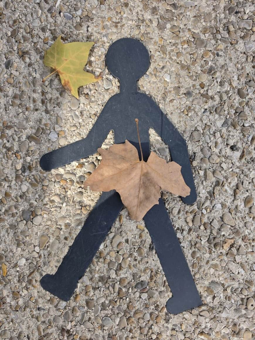 Silhouette de passante et feuilles de platane sur un sol de béton