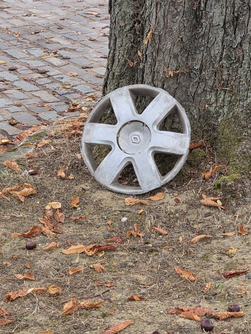 Enjoliveur automobile abandonné au pied d’un arbre près d’une allée pavée