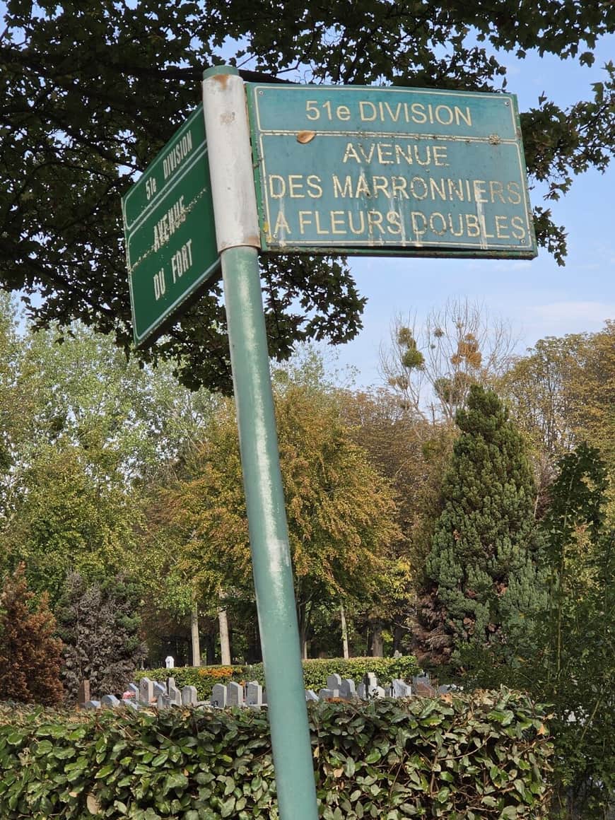 Panneaux verts indiquant la 51e division, l’avenue des Marronniers à fleurs doubles et l’avenue du Fort, au-dessus des tombes et des haies