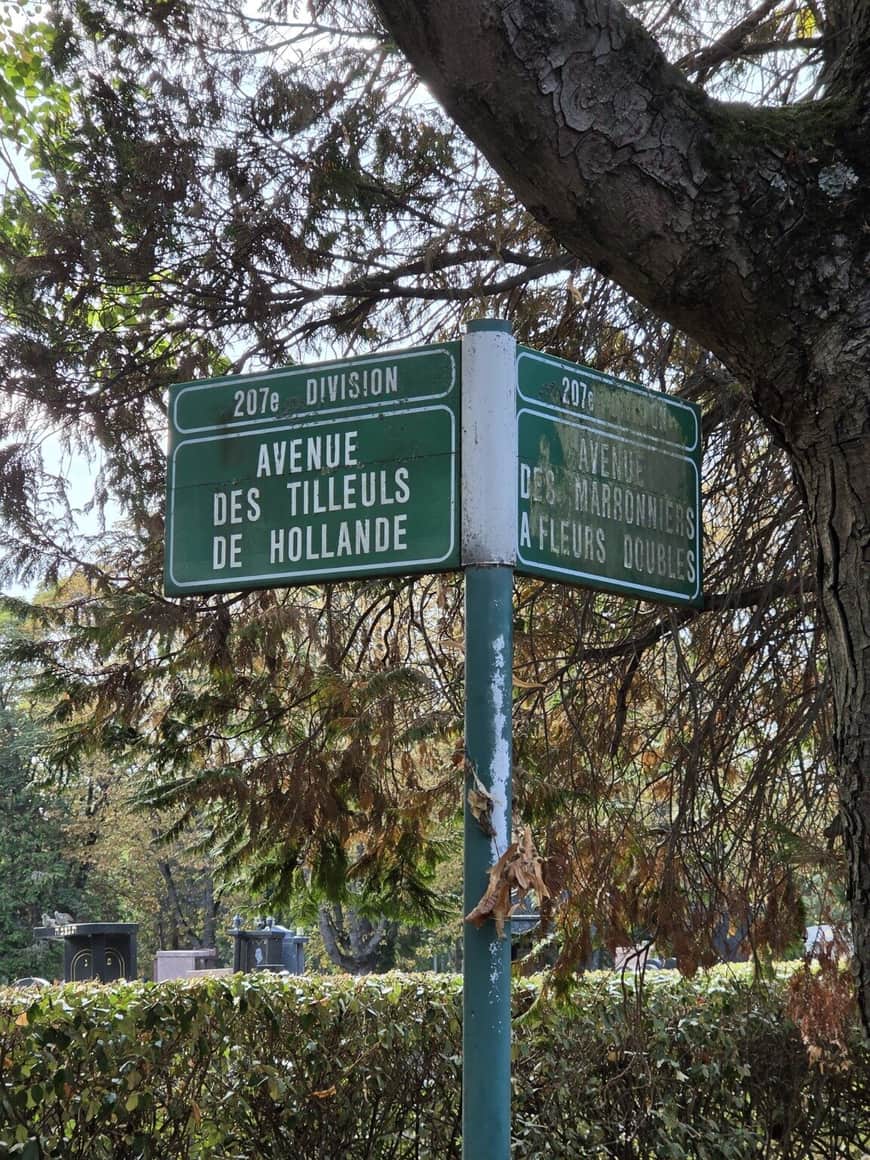 Panneaux verts de la 207e division indiquant l’avenue des Tilleuls de Hollande et l’avenue des Marronniers à fleurs doubles sous un grand arbre
