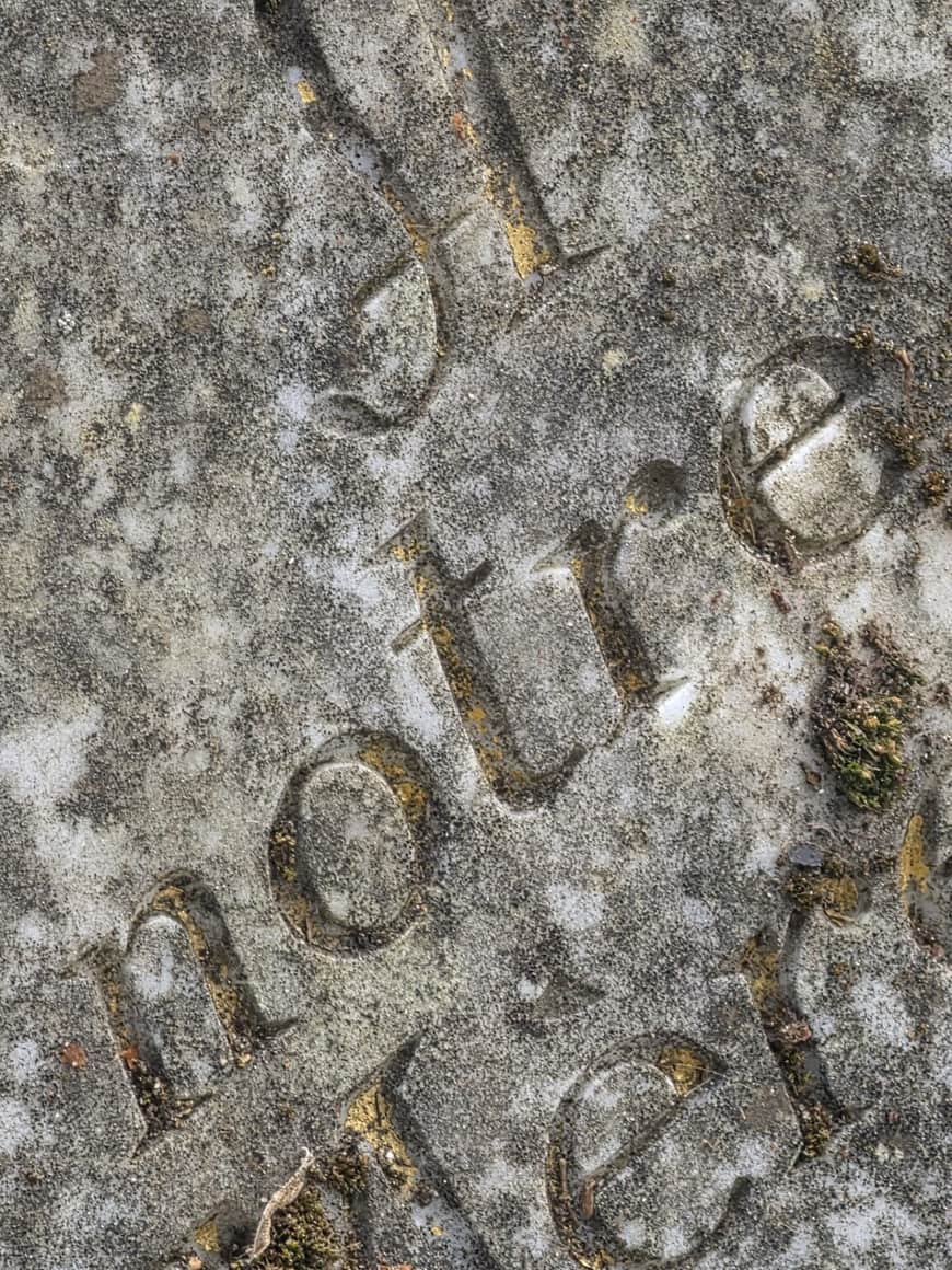 Fragments de caractères gravés et partiellement dorés sur une pierre grise tachée et colonisée par des mousses