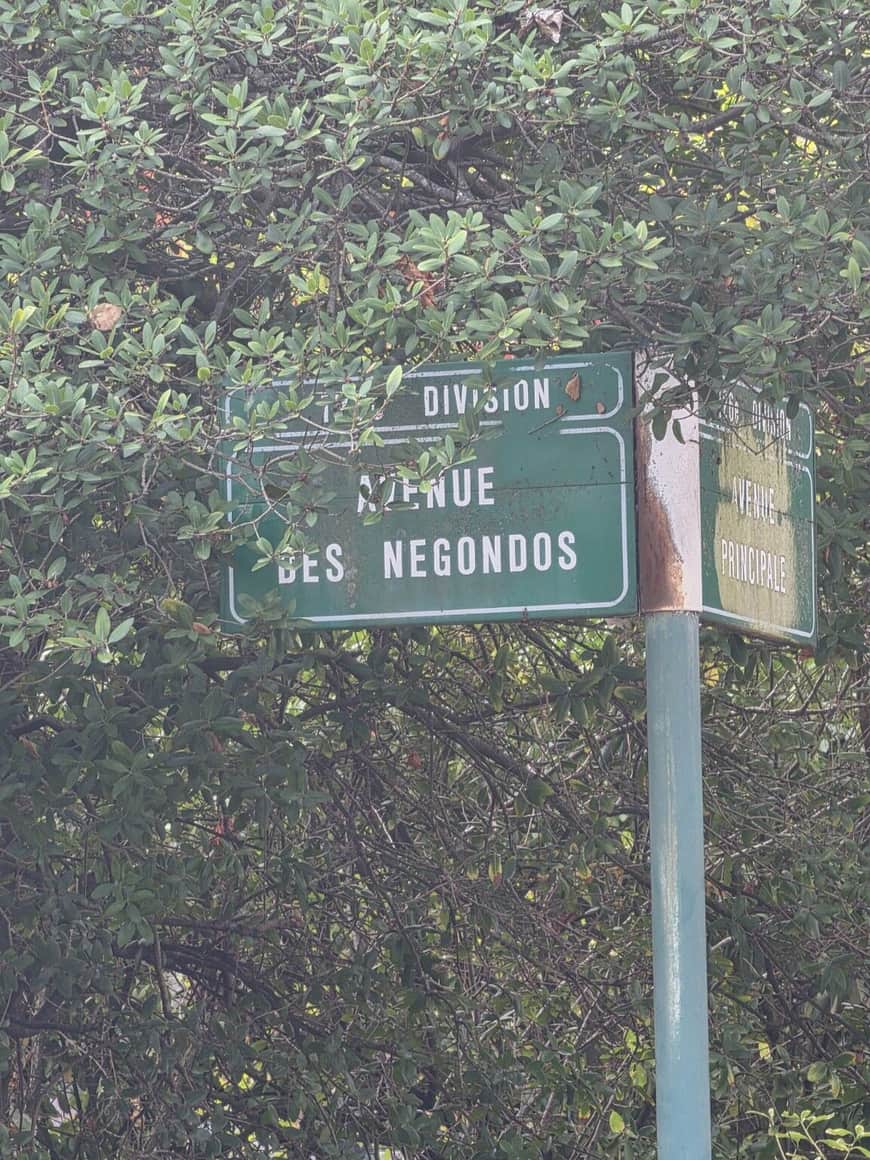 Ancien panneau vert de cimetière indiquant l’avenue des Négondos, en grande partie masqué par un arbuste