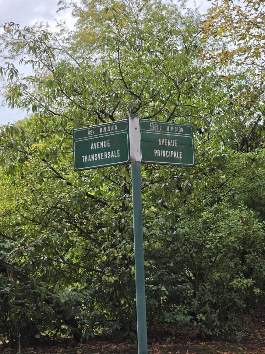 Panneaux verts de la 93e division indiquant l’avenue transversale et l’avenue principale, devant une végétation dense