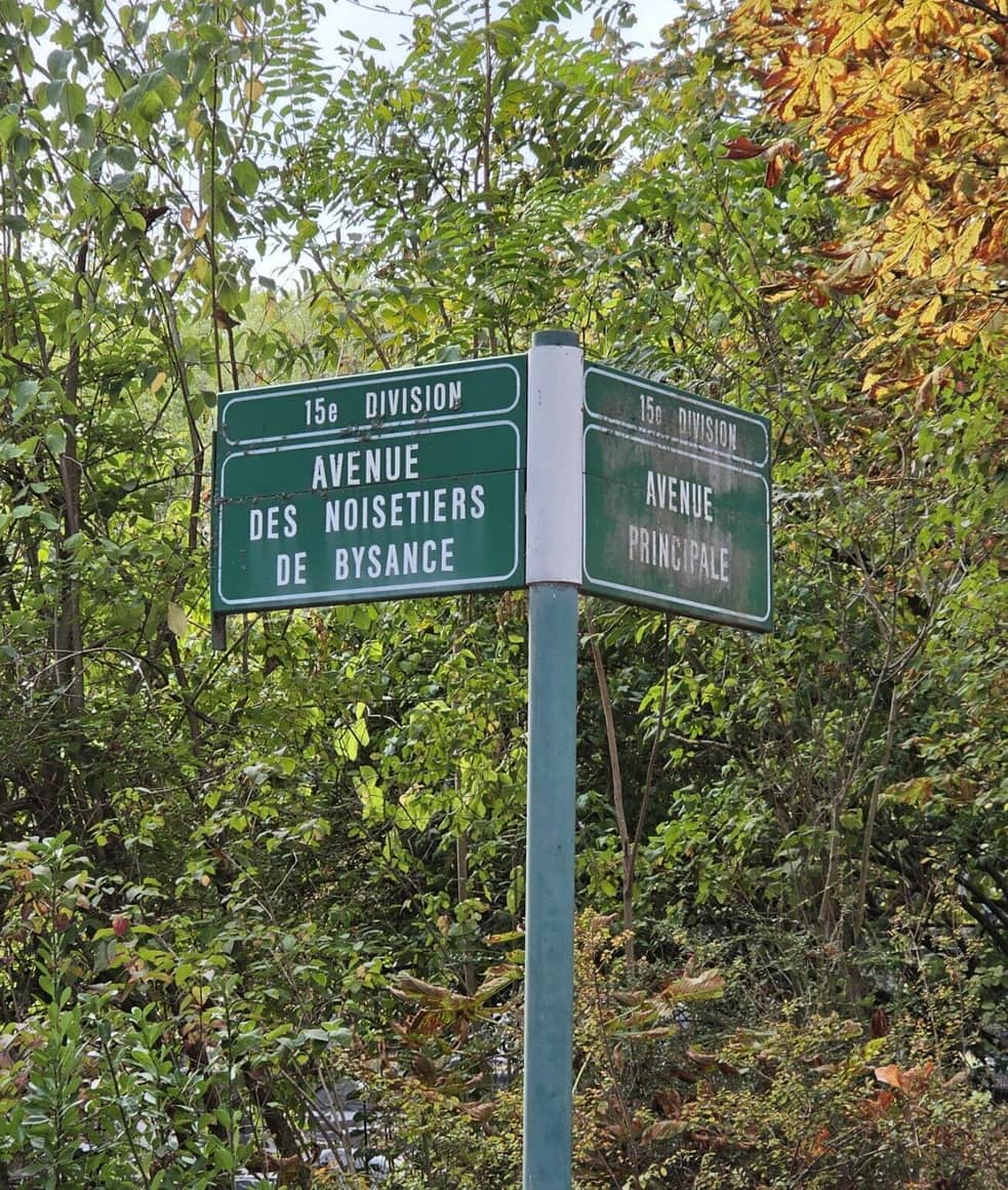 Panneaux verts de la 15e division indiquant l’avenue des Noisetiers de Byzance et l’avenue principale, entourés de feuillages d’automne