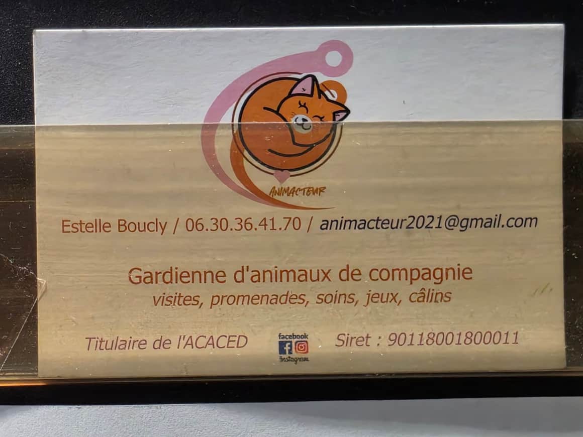 Carte de service de garde d’animaux illustrée d’un petit renard