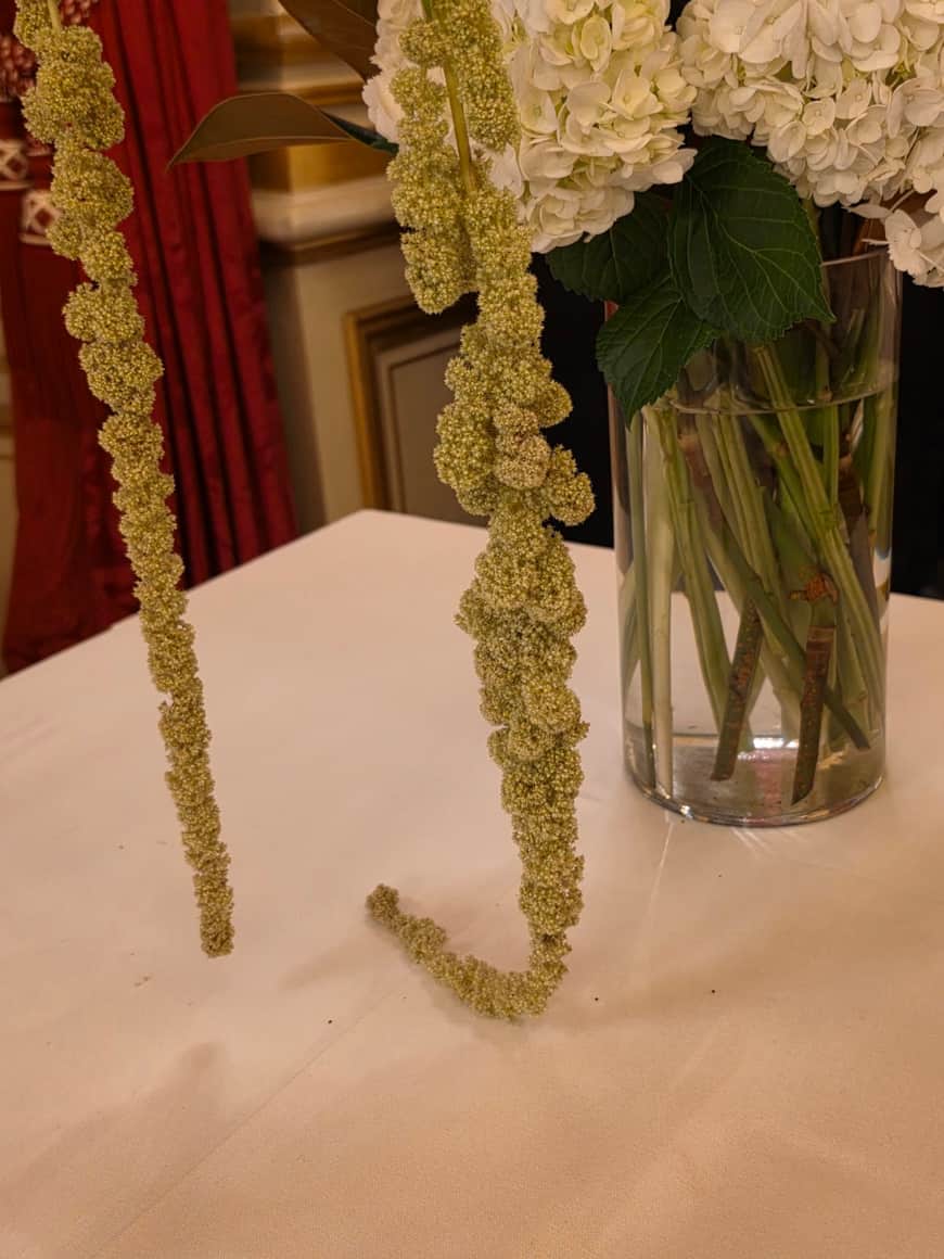 Longues inflorescences retombantes auprès d’un vase d’hortensias blancs dans un salon rouge et or