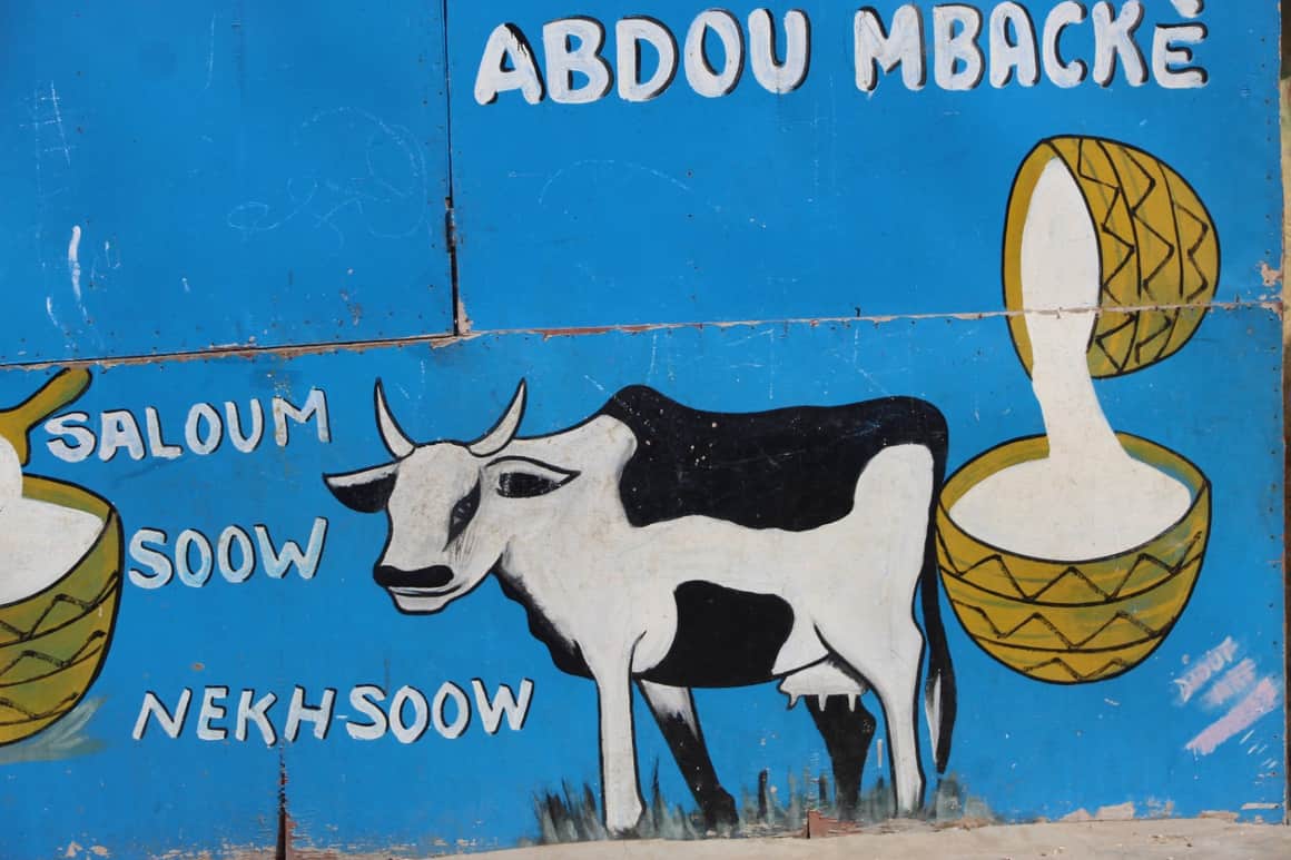 Peinture murale représentant une vache, des calebasses et le nom Abdou Mbacké.