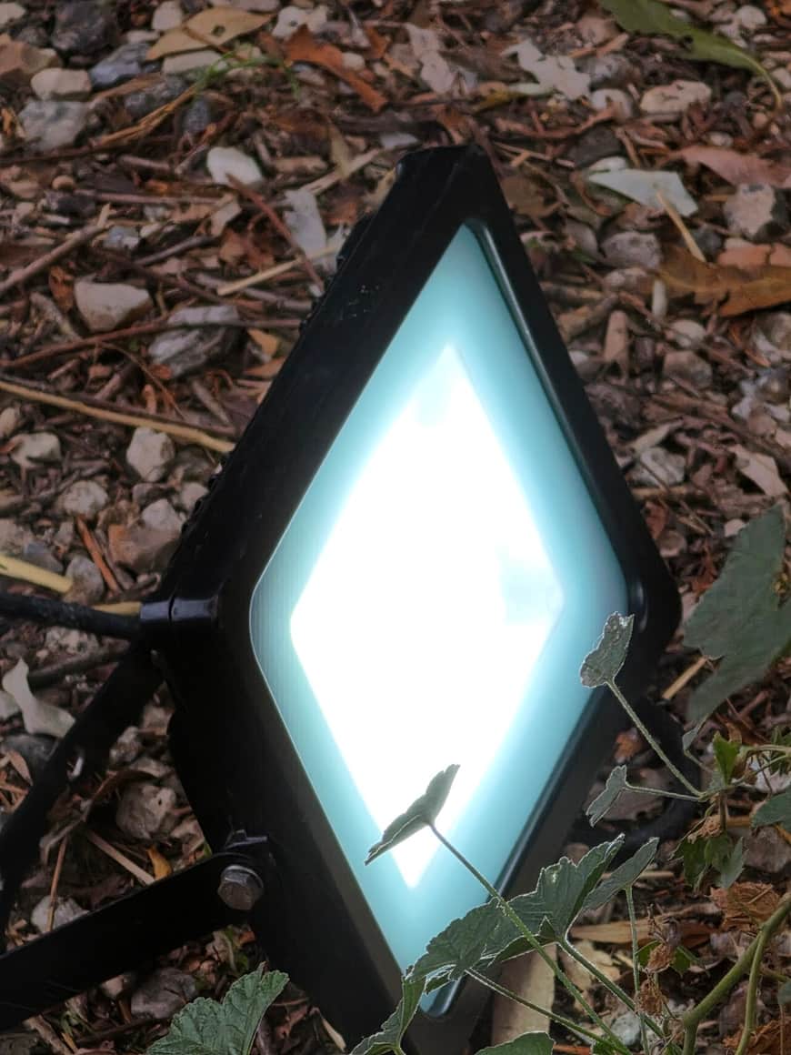 Projecteur de sol lumineux, cadré de face avec feuilles et brindilles sur son pourtour