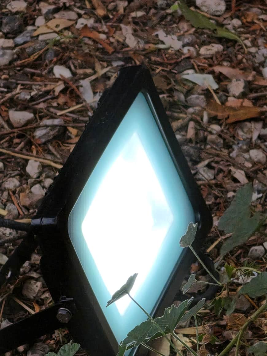 Dalle lumineuse carrée inclinée parmi des feuilles, photographiée au ras du sol