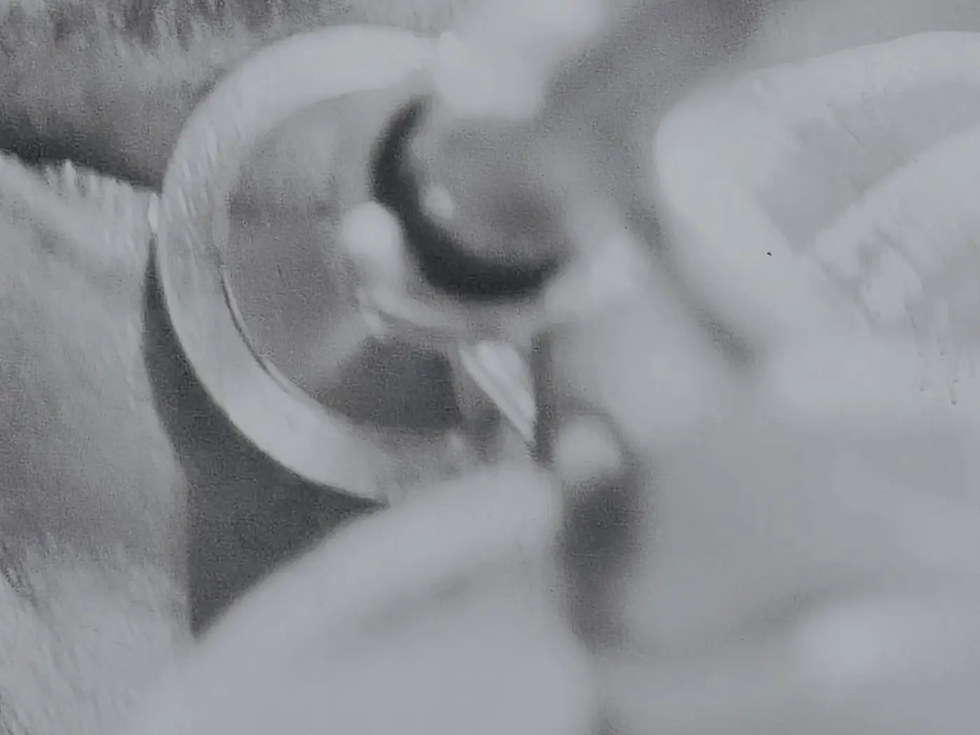 Détail photographique noir et blanc, flou et rapproché, où une forme circulaire rencontre une surface striée