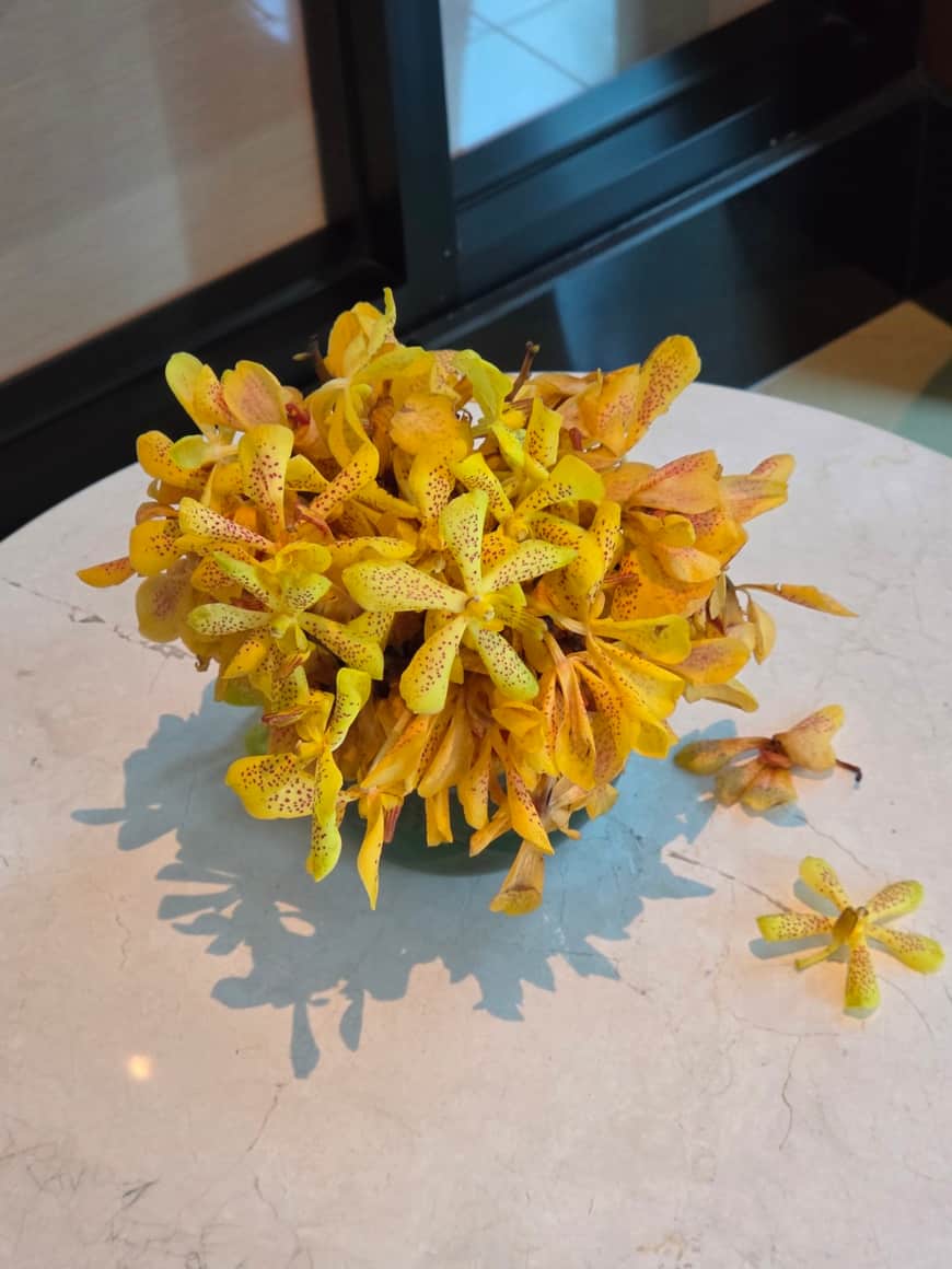 Bouquet de fleurs jaunes disposé sur une table.