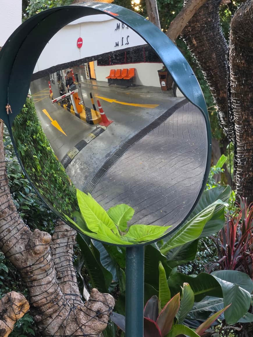 Miroir routier convexe reflétant un passage et des feuillages.
