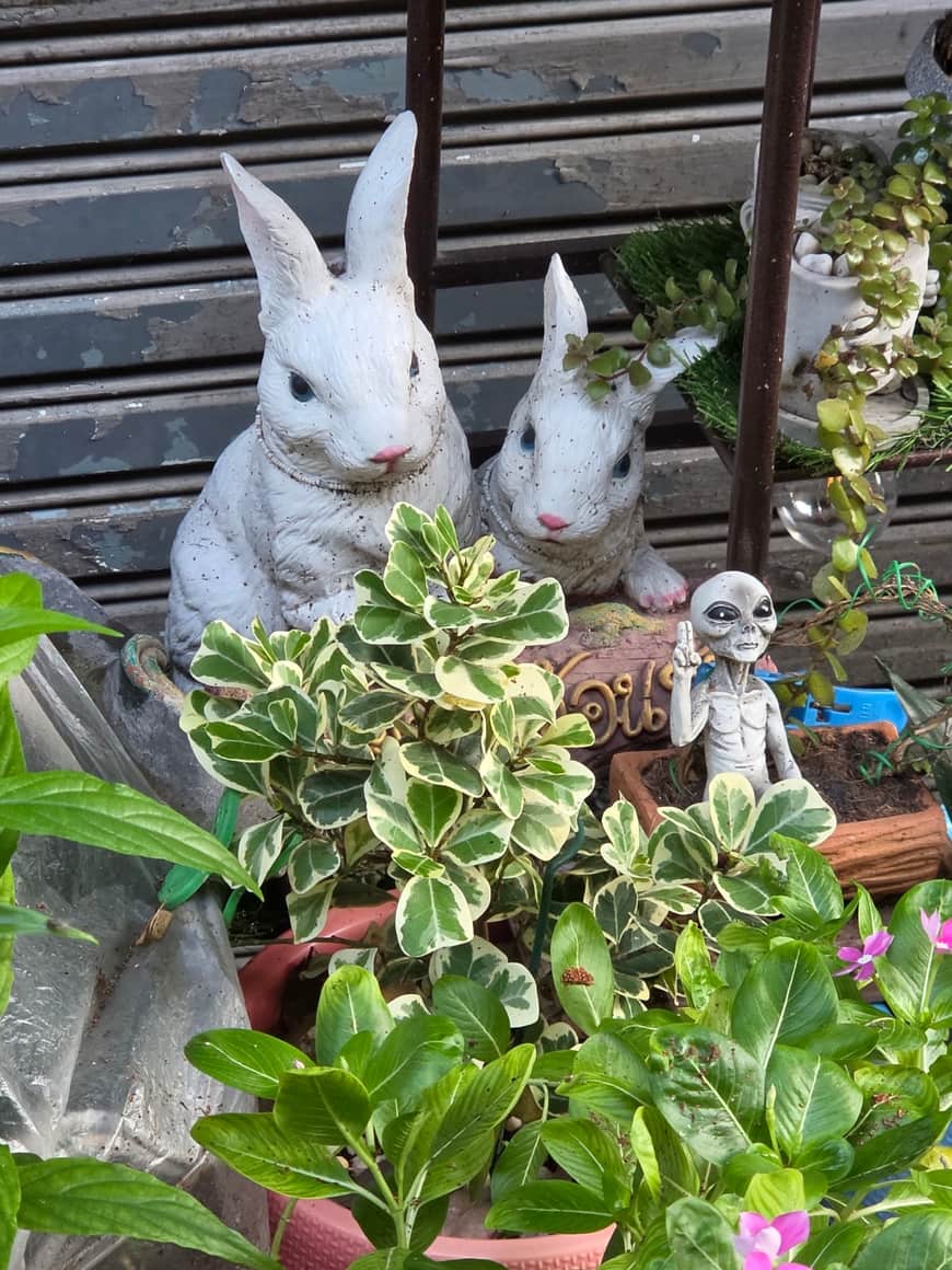 Deux figurines de lapins blancs parmi des plantes en pot.