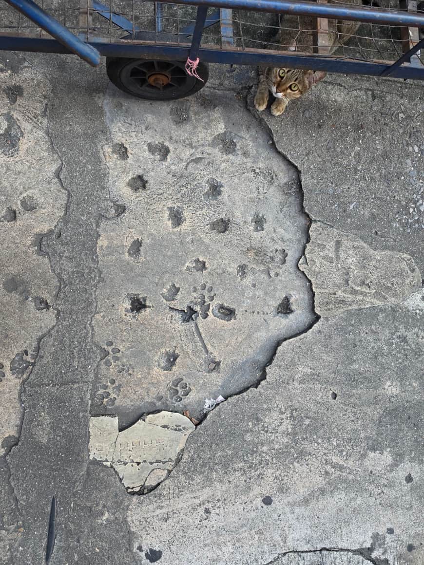 Détail d’un revêtement de sol usé et moucheté.