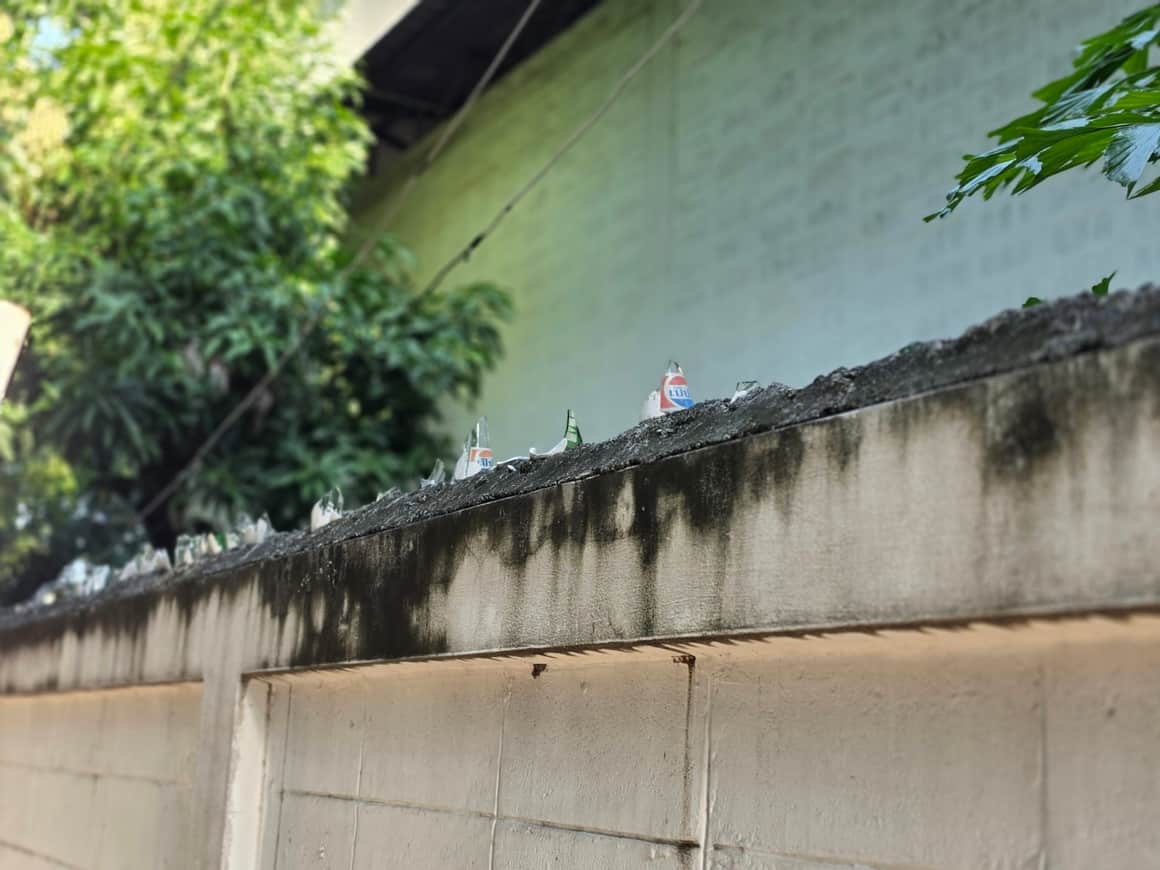 Mur taché sous un feuillage, au bord d’un espace construit.