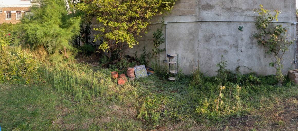 Vue panoramique d’un jardin clos à la fin de l’été