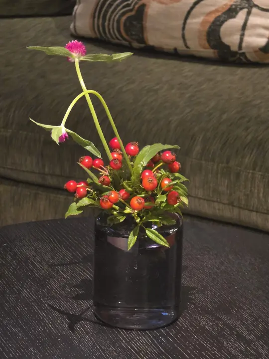 Composition de fleurs magenta et de baies rouges dans un vase sombre, devant un canapé vert